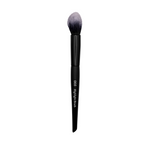 Pro Highlighter Brush.